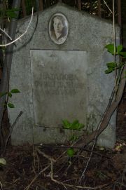 Натанова Сарра Гдальевна, Москва, Востряковское кладбище
